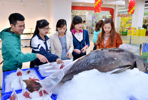 DSC-6782-28Copy-29-JPG-6701-1421467672.j