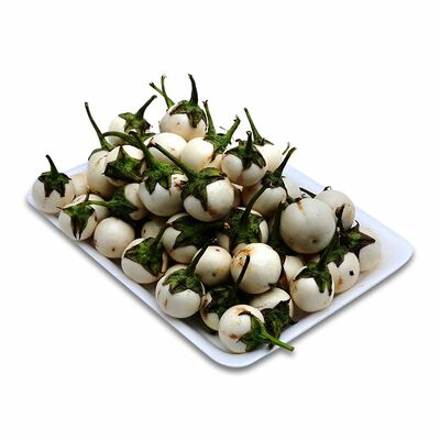 Cà pháo trắng DL L1 MT