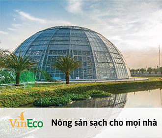 Nông sản sạch cho mọi nhà